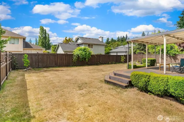 Back Yard