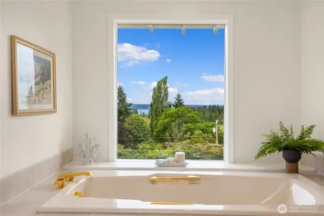 Lovely view from the garden tub.