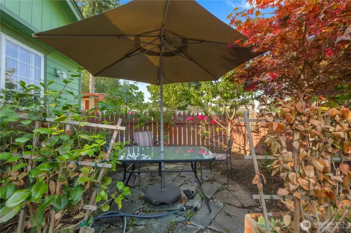 Front Garden