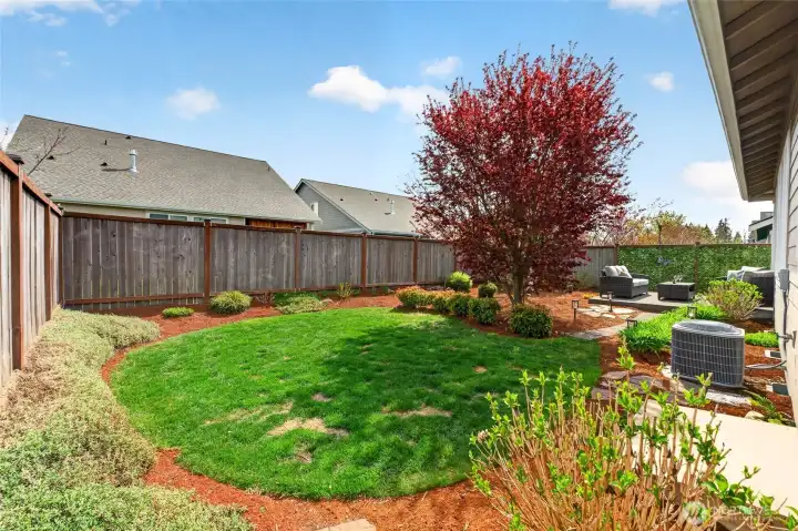 Fully fenced back yard
