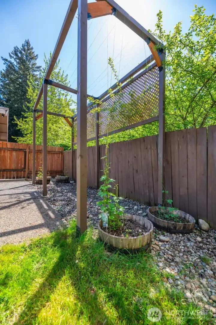 Active hops trellis with 3 varieties