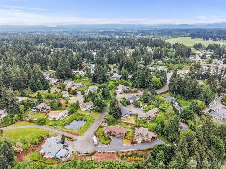 Aerial neighborhood view with the home, surrounding trees, nearby homes, and wide Bonney Lake valley views.
