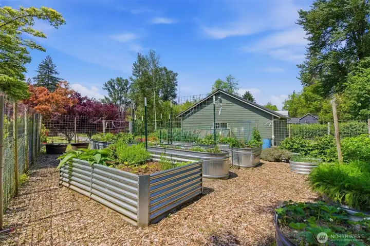 A gardener’s dream — fully enclosed raised garden beds overflowing with herbs, fruits, and vegetables ready for farm-to-table living