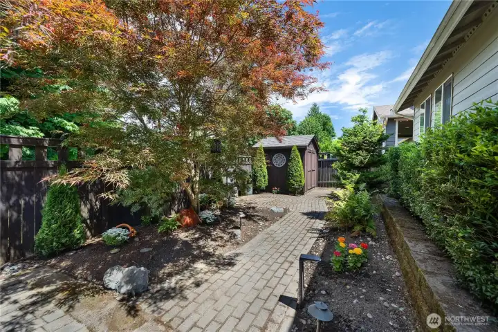 Wander through a peaceful garden retreat filled with texture, shade and year-round interest. Wander through a peaceful garden retreat filled with texture, shade and year-round interest.