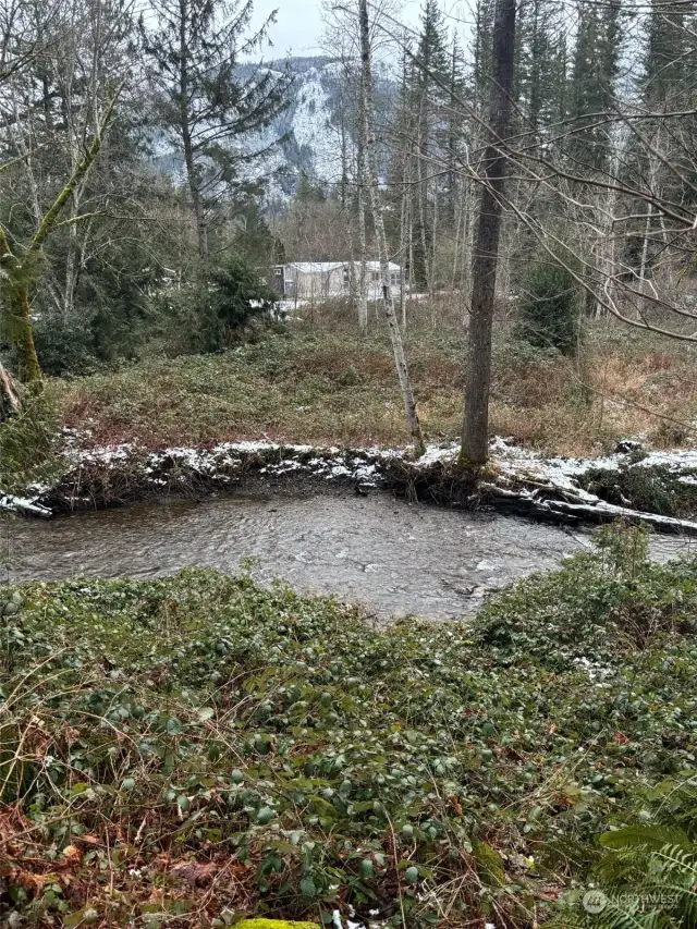 May Creek. Creek access in the backyard.