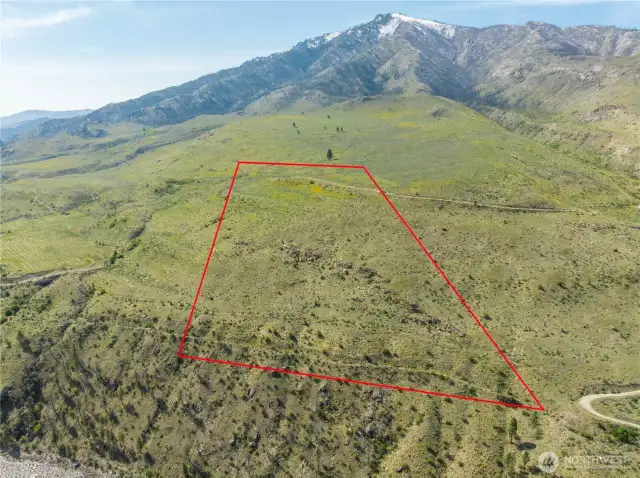 Property lines are approximate