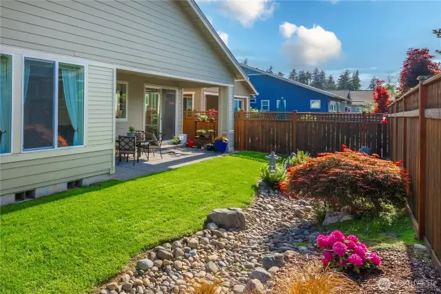 Low-maintenance backyard