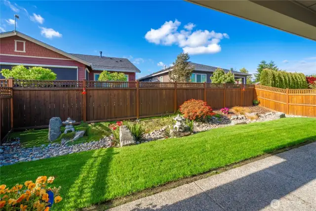 Cozy backyard