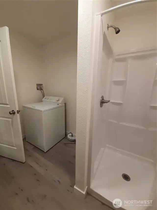 Main floor shower and utilities