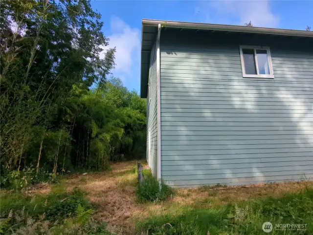 The northwest corner of the home showing the bamboo forest.