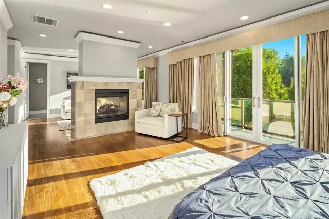 Large Primary Retreat with double fireplace