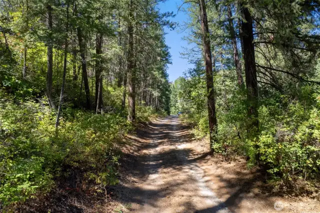 The mostly level property is served by a private dirt road that follows the river’s meander through mature forest.
