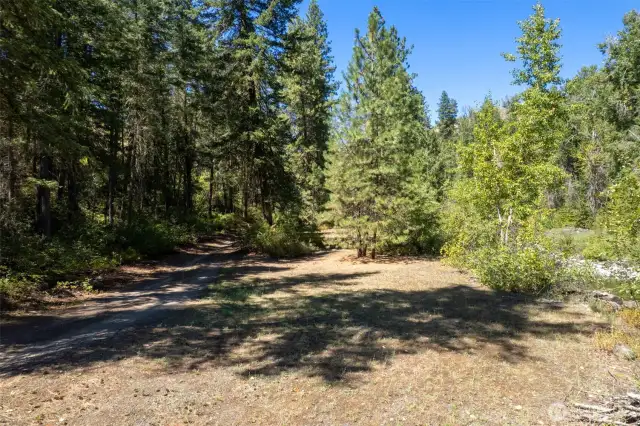 Smaller clearings along the drive offer additional riverside camping and picnic spots.
