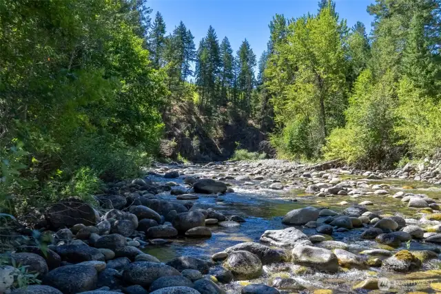 The river is a well-traveled corridor for wildlife, including the occasional moose!