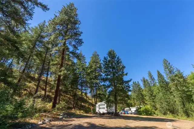 Towering pine and native shrub species characterize the hillside on the property’s southern boundary, providing excellent wildlife cover and habitat for native bird species.