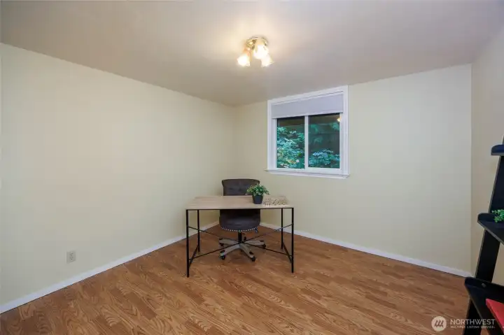 Lower level room with closet & windows