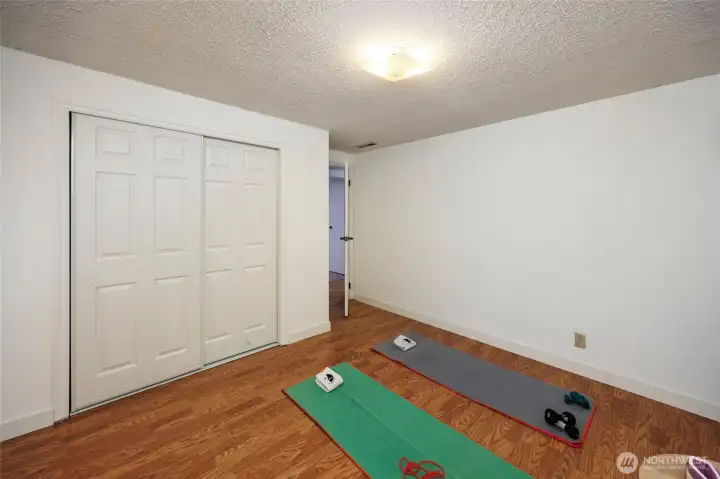 Lower level room with closet & windows