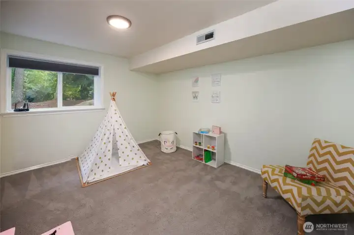 Lower level room with closet & windows