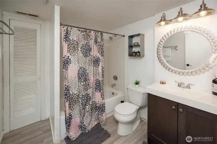 Lower level full bath