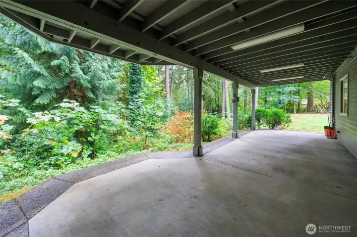 Lower level covered patio!