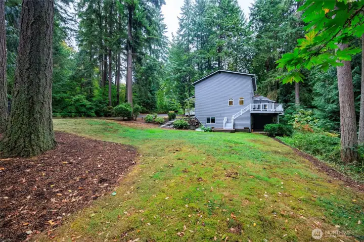 Back yard from the corner
