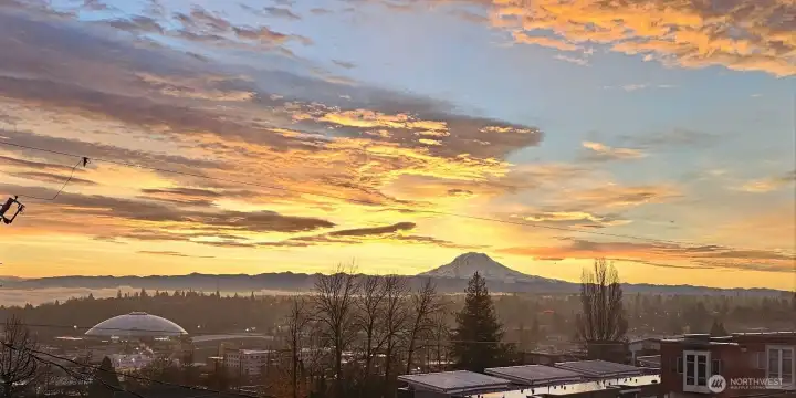 Another lovely photo taken by the owner.