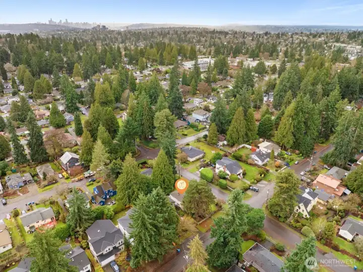 Aerial photo looking south and west. You can see downtown Seattle from this photo. Only minutes to the UW, Childrens Hospital, Amazon, downtown Seattle, and 520.
