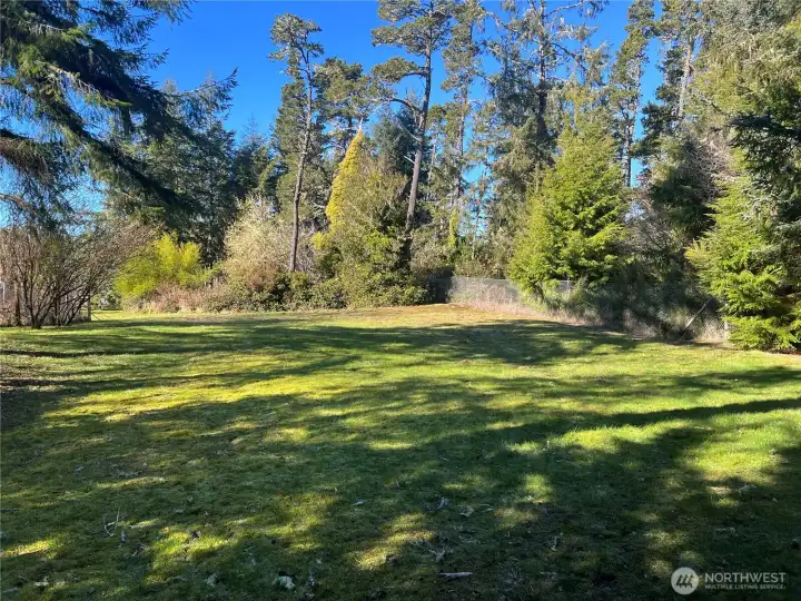 More property behind the garage, facing west.