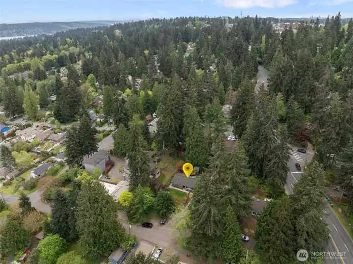 Close proximity to Lake Washington and all area amenities and public transit options.