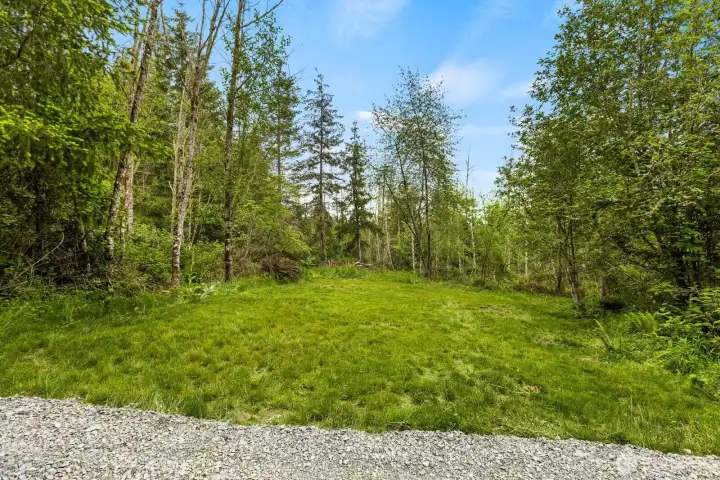 Long gravel drive creates a private approach through heavily wooded surroundings with a quiet, secluded feel.