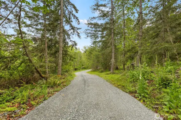 County road frontage with established gravel access already in place and mature trees throughout the property.