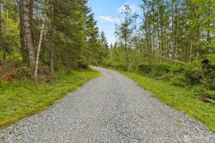 Wooded acreage featuring a mix of open spaces, evergreens, and natural landscape near Alder Lake recreation.