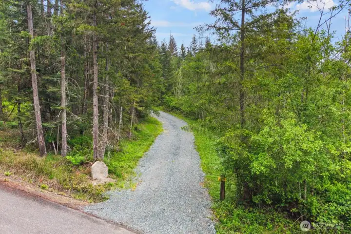 Established gravel access winds through mature evergreens and natural Pacific Northwest landscape.