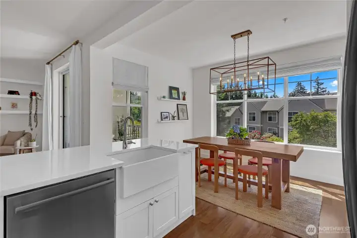 Kitchen farm sink