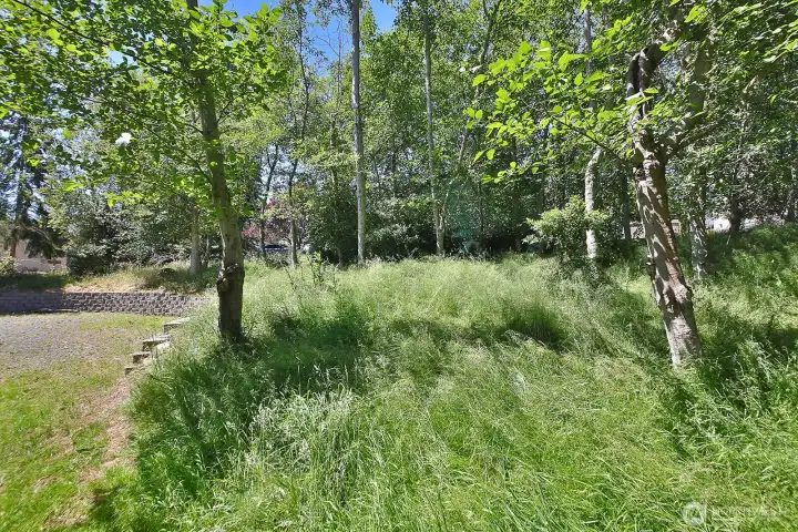 Additional Lot