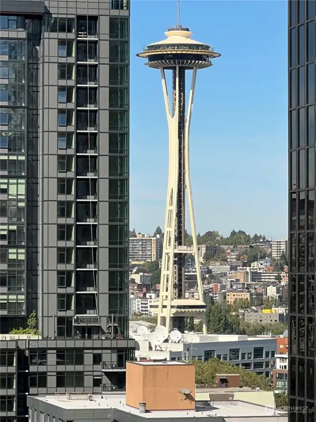 Did I mention the Full View of the Space Needle?