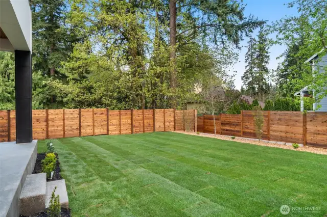 Large and private backyard