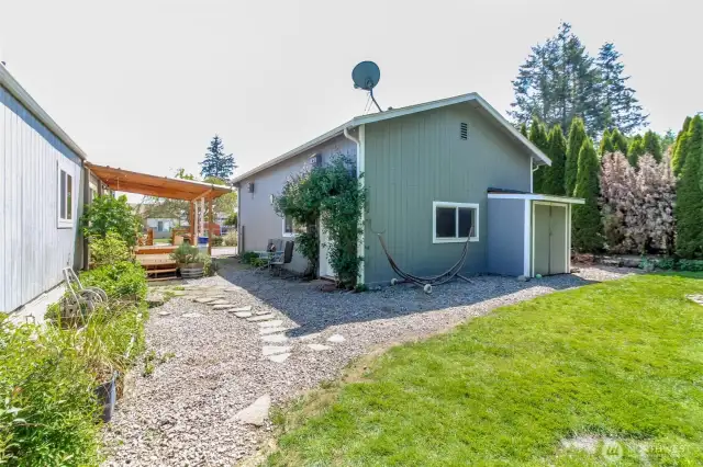 Backyard