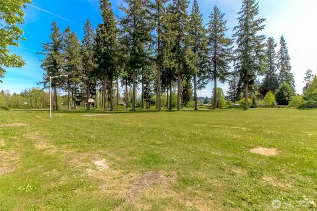 Community Park