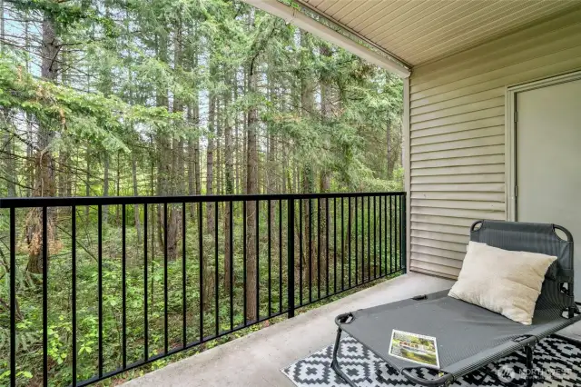 Serene Wooded Views from Deck