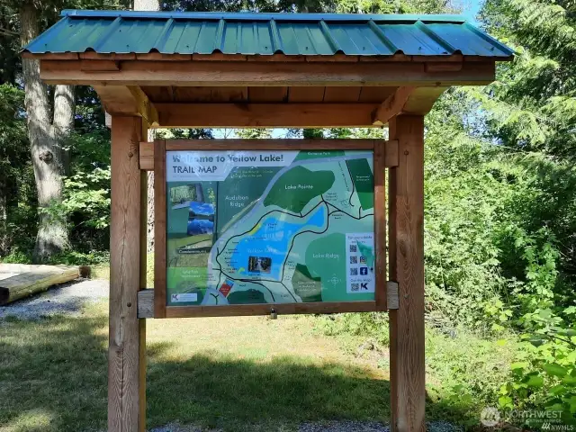 Near Yellow Lake Trail