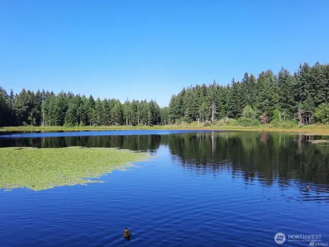 ...and soak in the Natural beauty