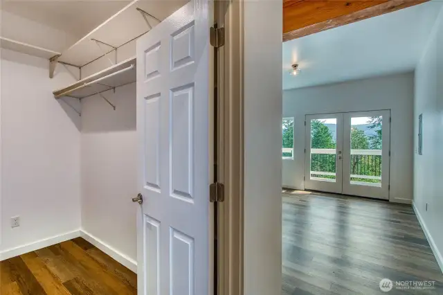 2nd primary bedroom on lower level with walk-in closet and primary bathroom.