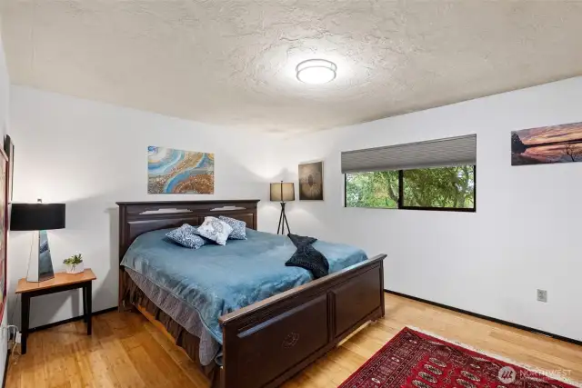 Large bedroom with walk-in closet.