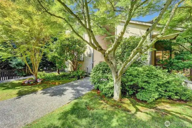 Front landscaping