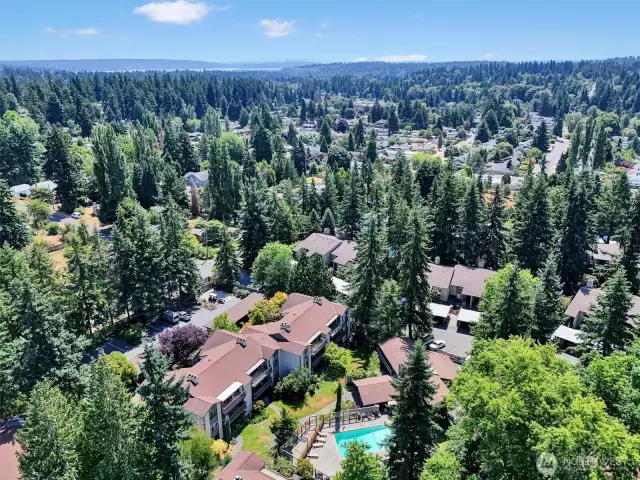 Aerial view with pool