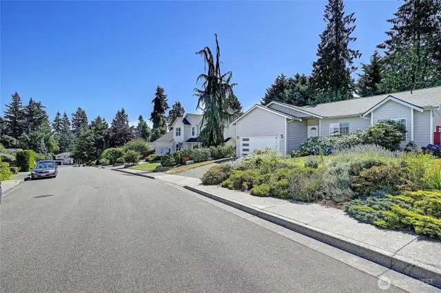 established neighborhood with mature landscaping