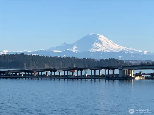 Wow! Up front and personal. This location is superb...just 3 blocks to Leschi, and no noise from I-90!