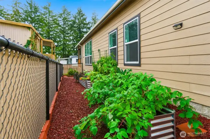 Another view of the raised beds—ideal for gardening enthusiasts seeking low-maintenance outdoor enjoyment.