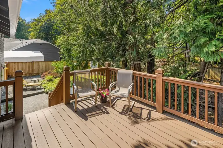 Trex deck with access into dining area/kitchen.